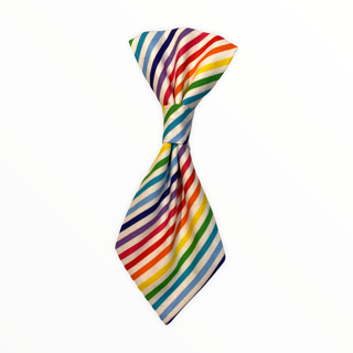 Multi Diagonal Stripes Neck Tie