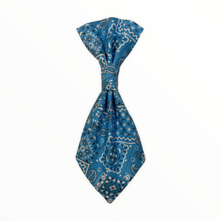 Turquoise Bandana Print Neck Tie